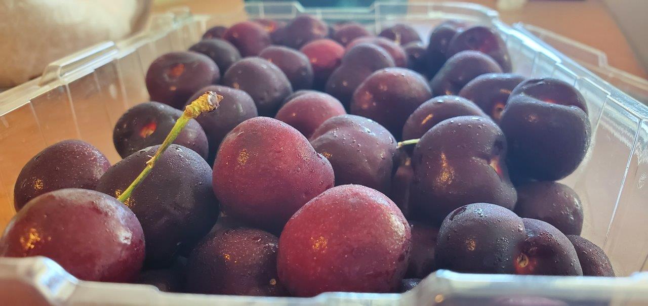 Cherries to be pitted